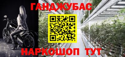 гидра Кулебаки