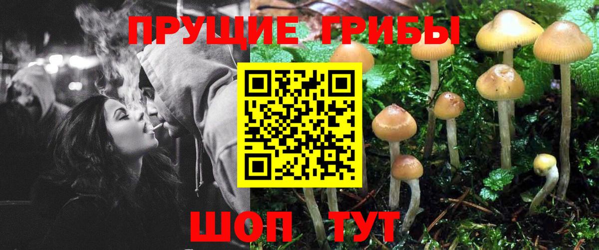Сургут  Псилоцибиновые грибы GOLDEN TEACHER  Вход с VPN 